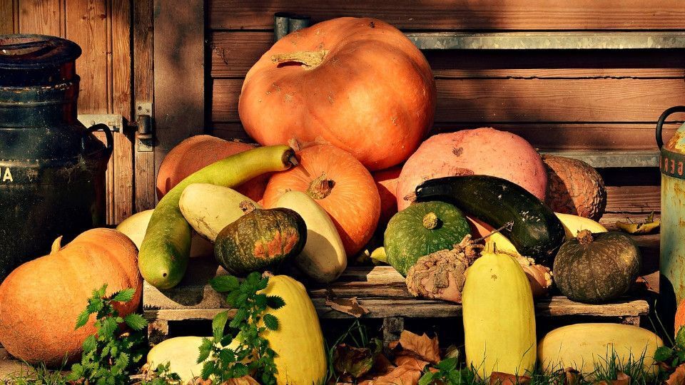 Тыква - деликатесы и народные рецепты