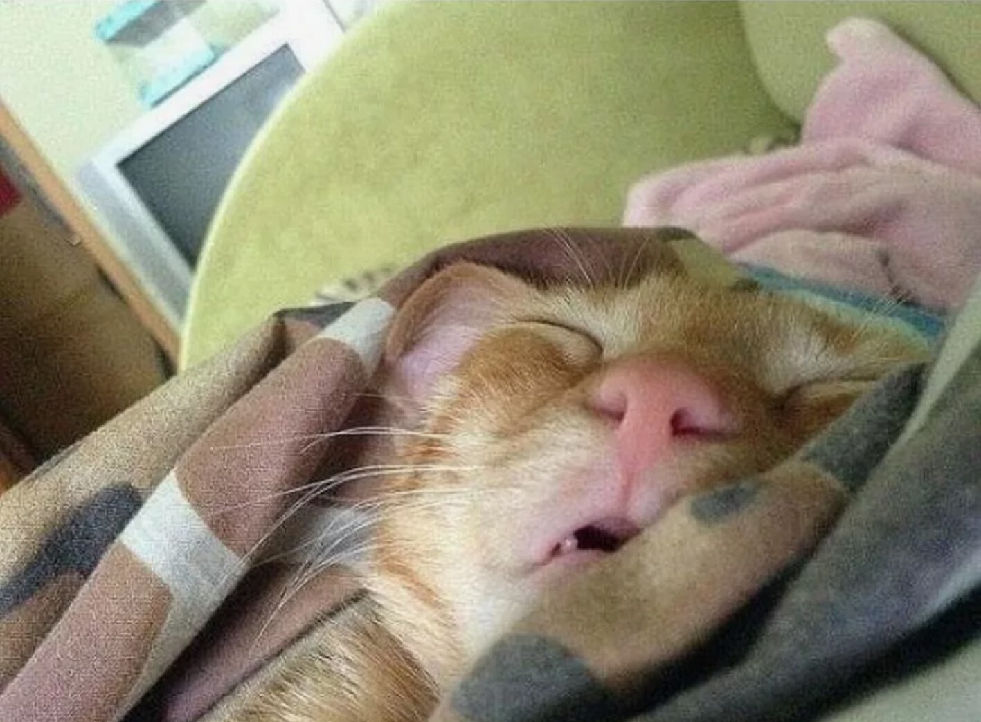 Как часто вы опаздываете на работу/учебу из-за того, что проспали?