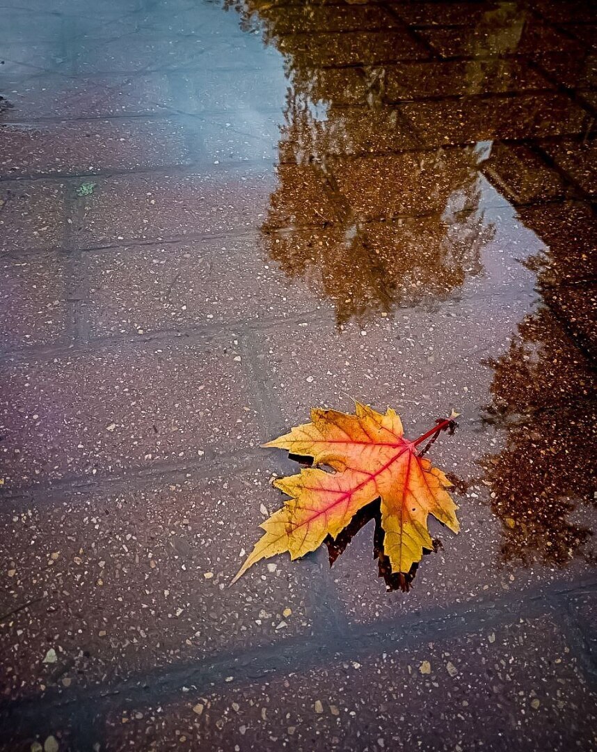 "Больше никогда": История мужчины, обжегшегося на любви