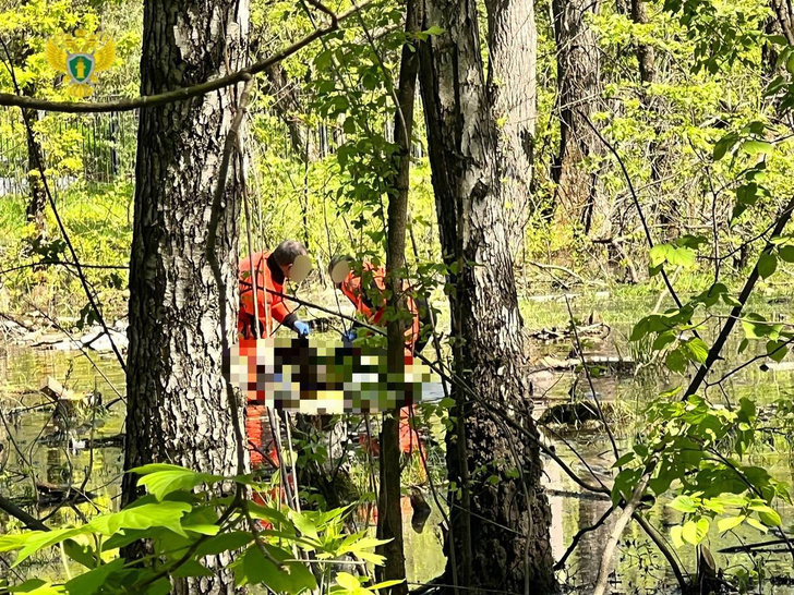Две школьницы пропали в Измайловском парке Москвы: одну нашли мертвой, другая — в реанимации