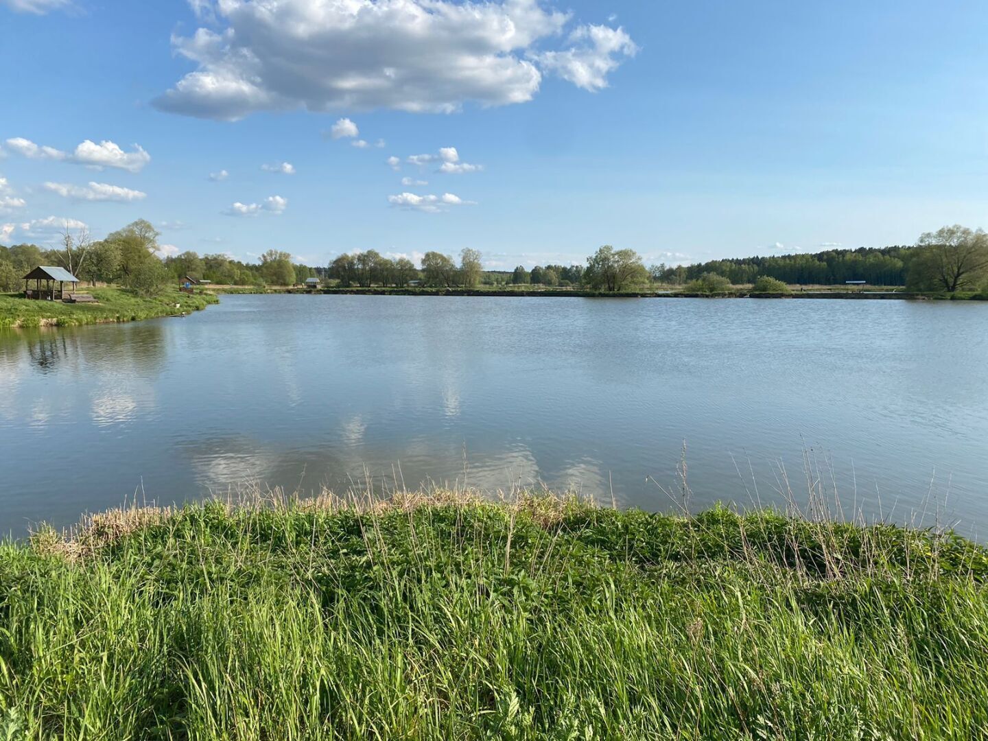 Летняя рыбалка, сезон открыт.