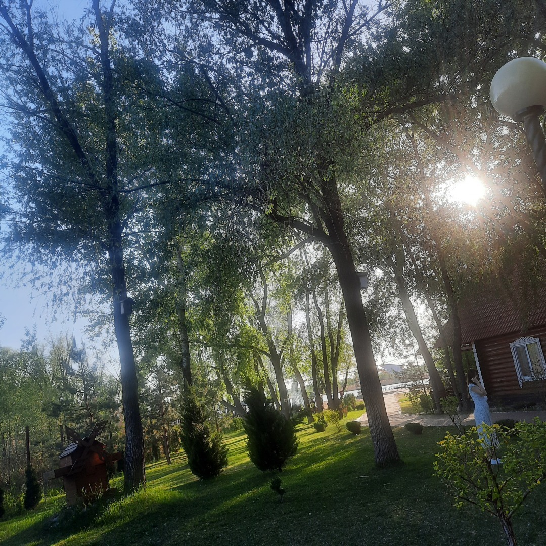 Леди и Бродяга. История одной первой любви.