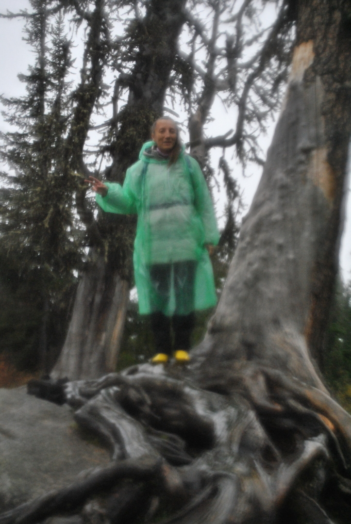 Я не могу себе позволить брак, я слишком нищий!