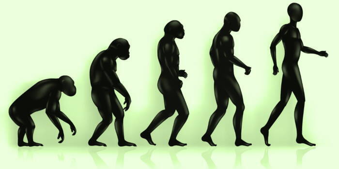 Умели ли неандертальцы говорить метафорами?