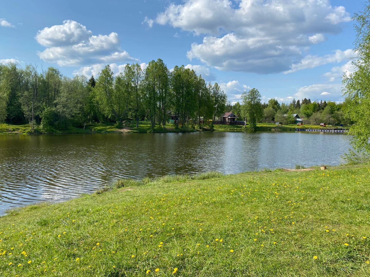 Летняя рыбалка, сезон открыт.