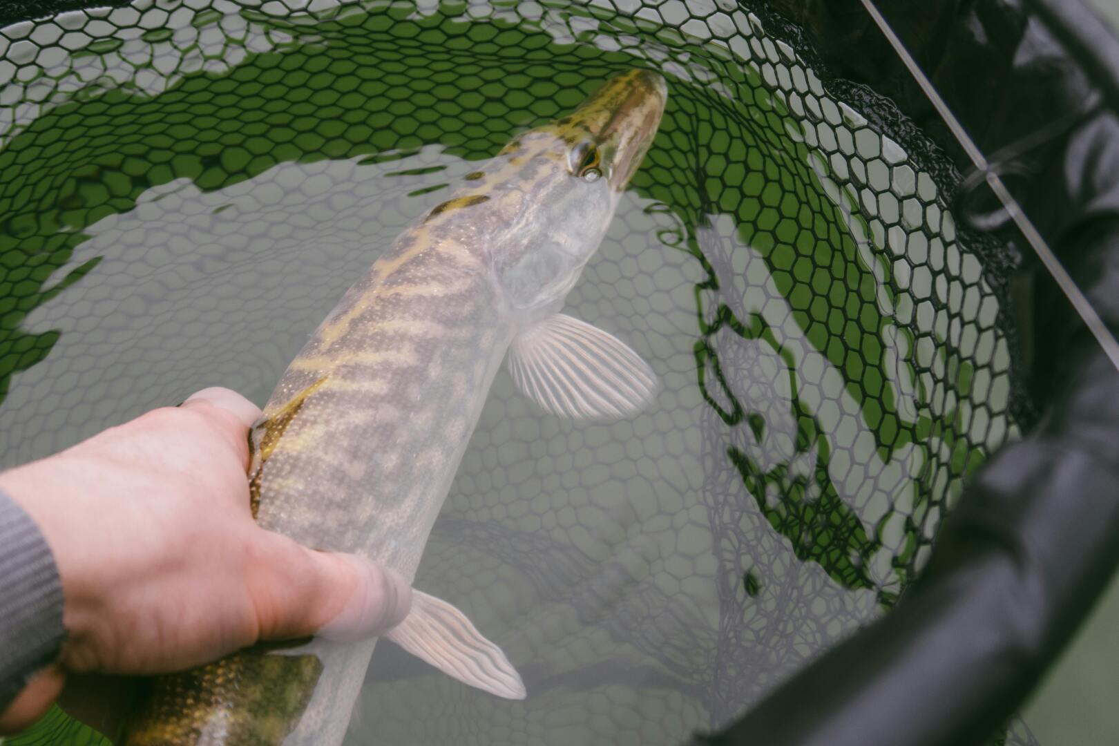 Как объяснить ребенку смысл сказки?