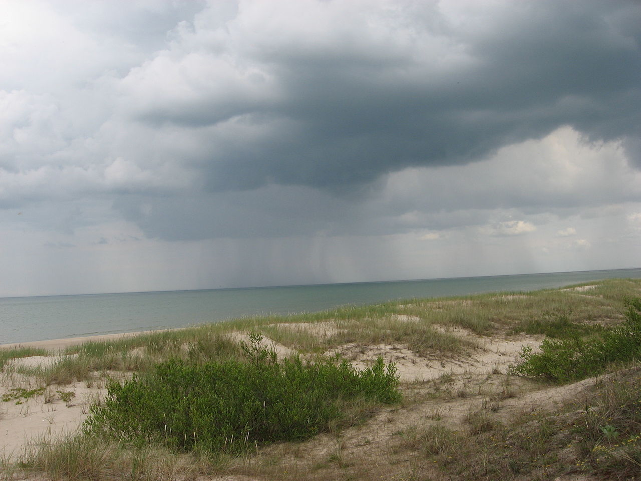 В этом году, было мало дождей весной. Поэтому, в огороде много чего нормально не уродилось. И полив, кажись, не особо эффективен.