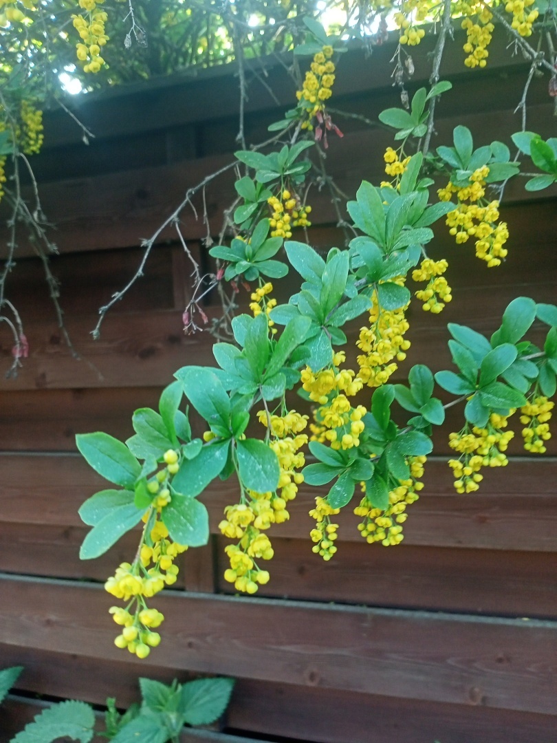 Заложник прошлого: как нелюбовь матери отразилась на жизни моего мужа