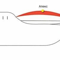 MYXJ_20240524182721117_save.jpg
