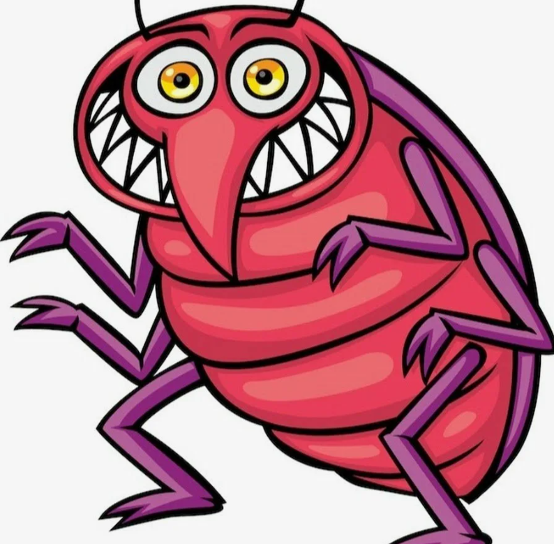 Мои вторые и третьи боевые действия против московских клопов: прошло два 2 месяца после переезда из клопиной квартиры