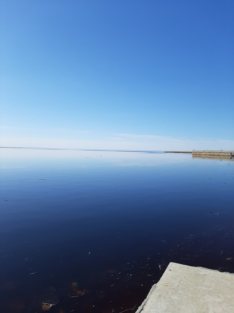 Прогулки по Приморскому парку г. Северодвинска: личные впечатления автора и фото