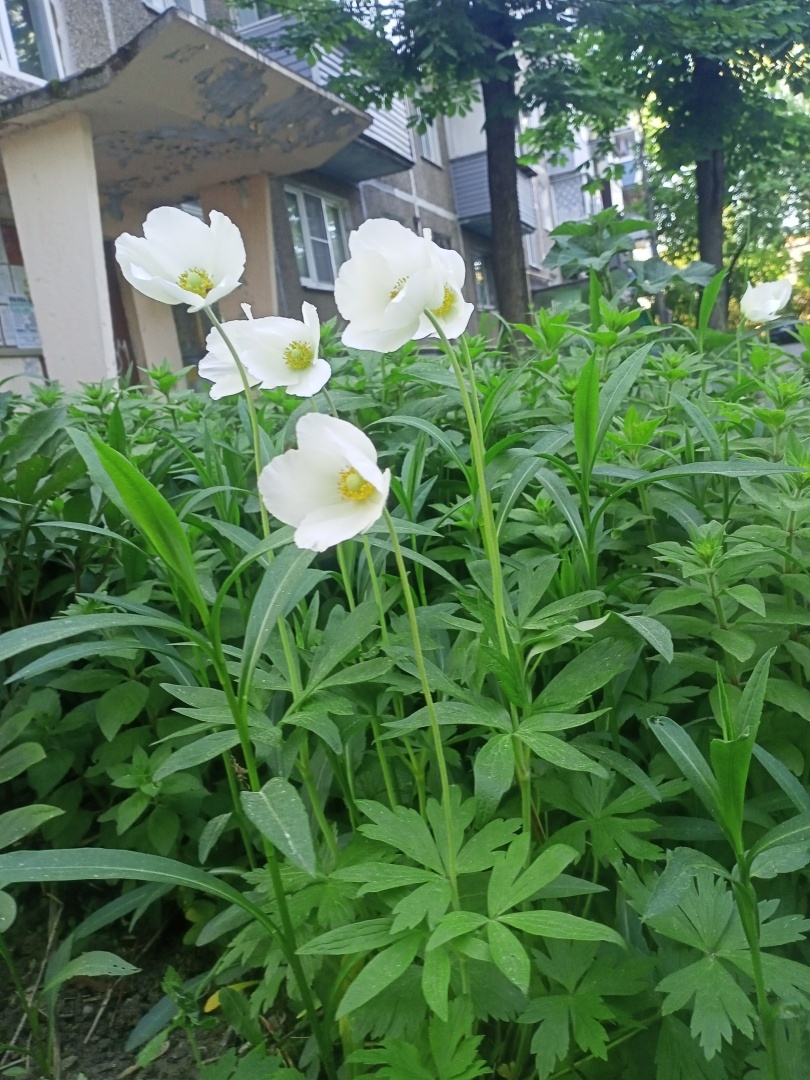 Заложник прошлого: как нелюбовь матери отразилась на жизни моего мужа