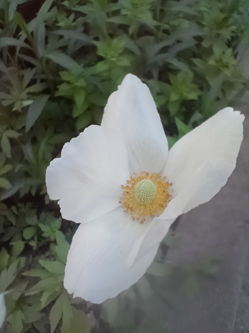 Заложник прошлого: как нелюбовь матери отразилась на жизни моего мужа