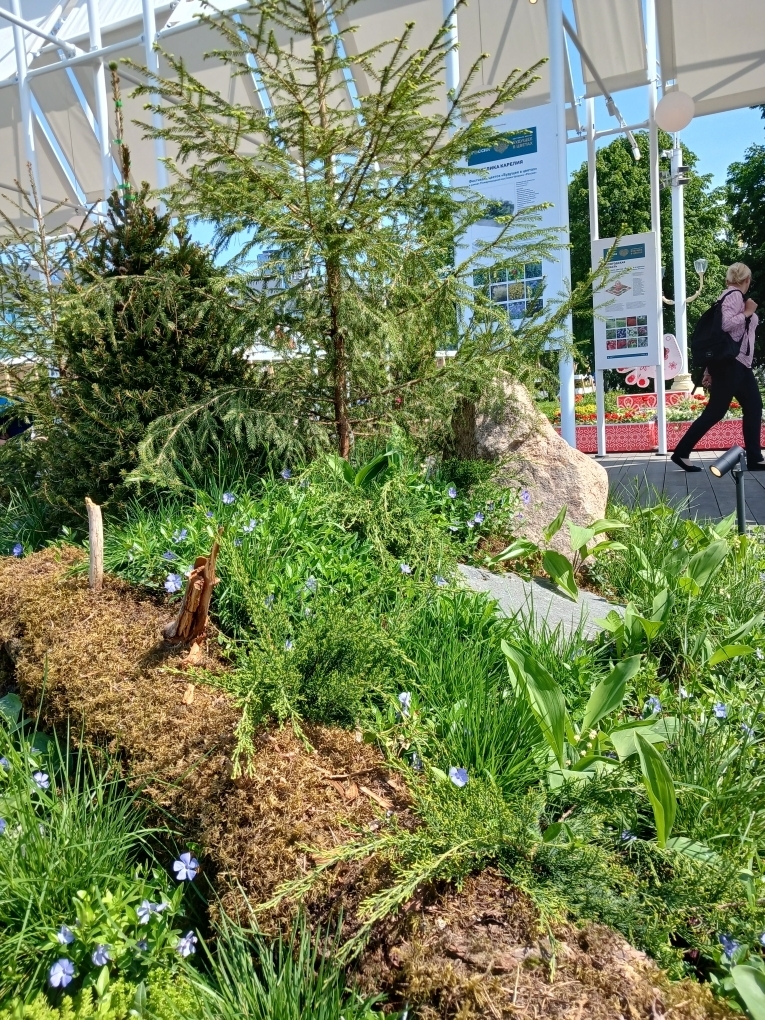 "Будущее в цветах". Новый фестиваль на ВДНХ. Хотелось, чтобы название сбылось