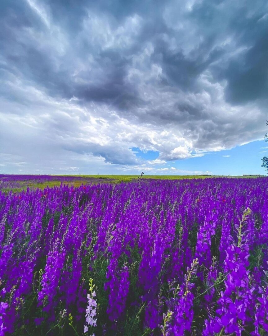 Французский визовый центр устроил безумие на уходящей неделе.
