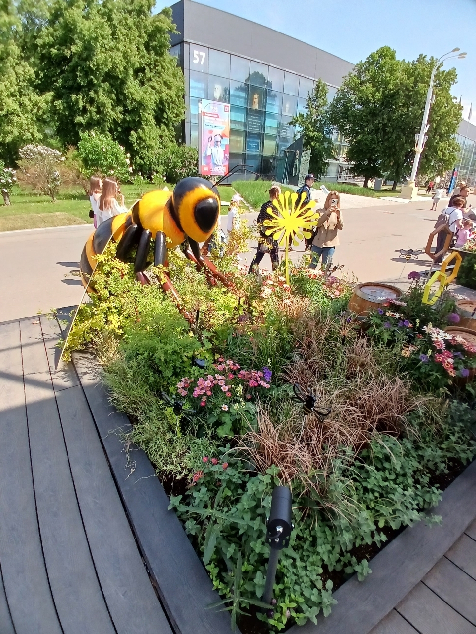 "Будущее в цветах". Новый фестиваль на ВДНХ. Хотелось, чтобы название сбылось