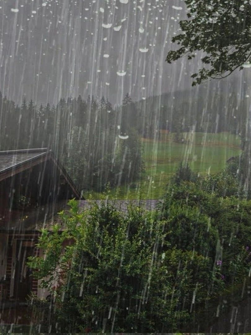 Однажды на холме, окруженном зеленым лесом и разноцветными цветами