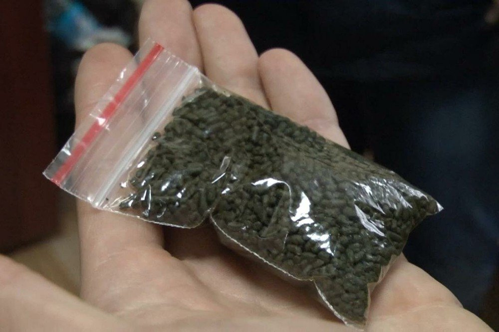 Как прошли военные сборы на моем личном опыте? Или почему новое российское поколение стремительно идет на дно