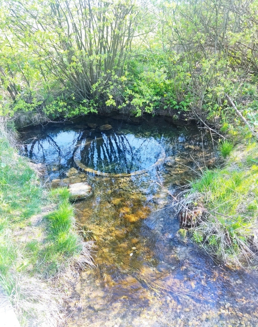 По местам малой родины моей мамы. Родник с чистейшей питьевой водой, село Кислино Мценского района Орловской области.