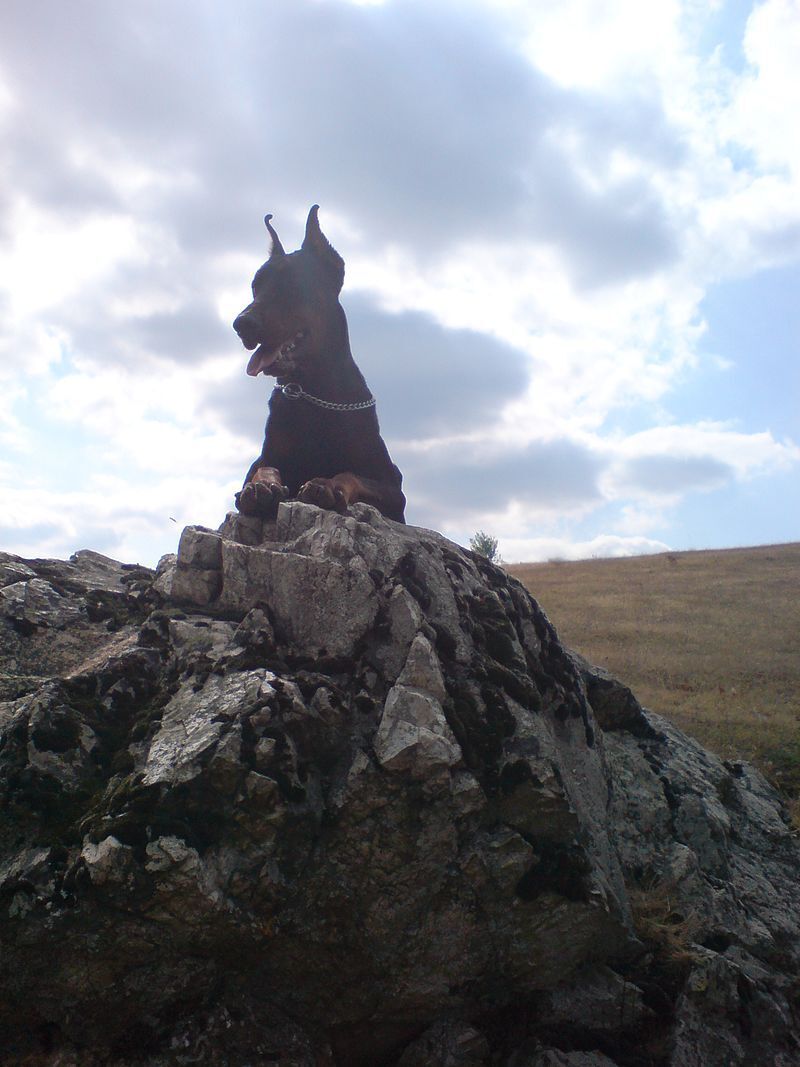 Русский песик доберман! Звался он Валериан! Рифмоплетство.