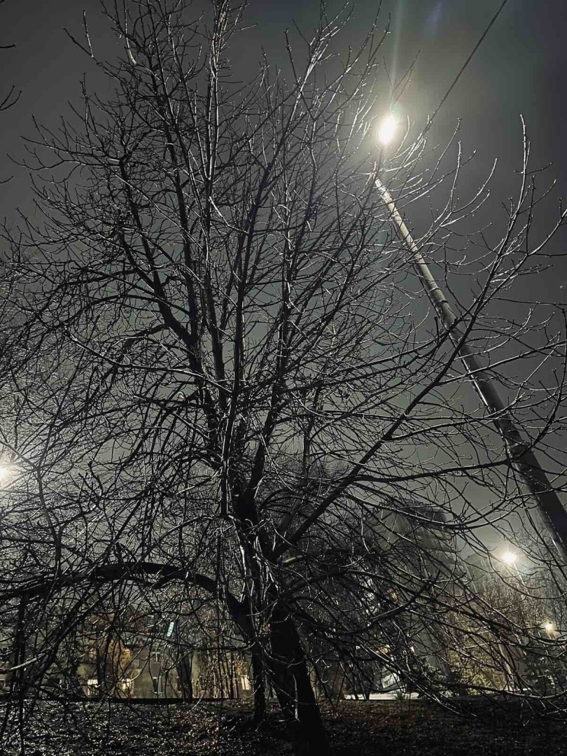 Эффект попутчика. Истории из поезда.