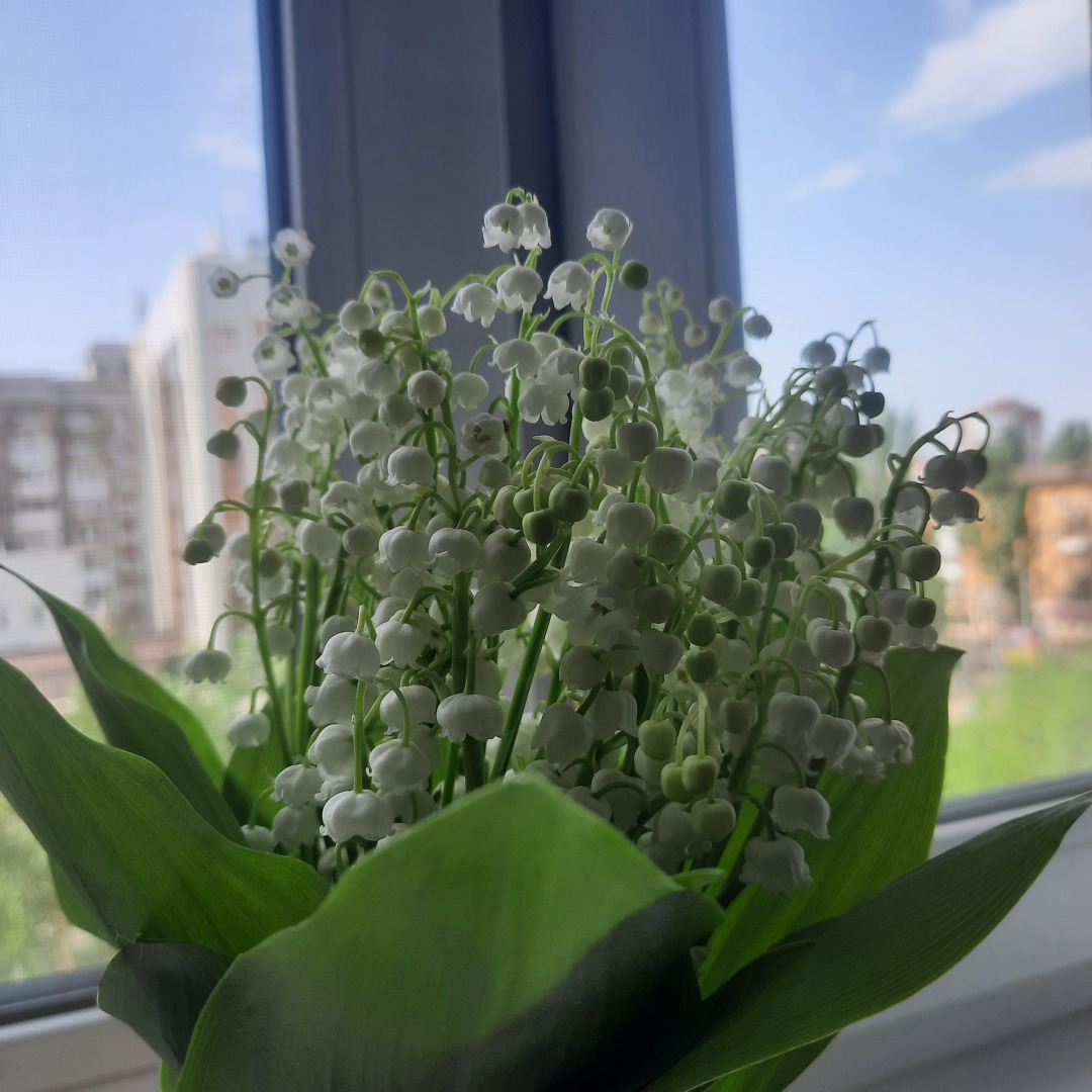 Эффект попутчика. Истории из поезда.