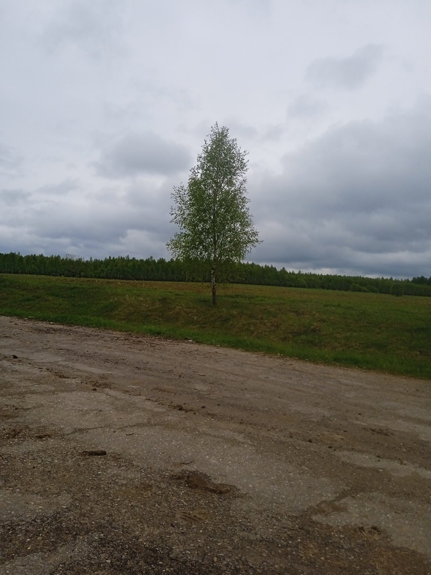 Природа деревни Хлуднево Калужской области