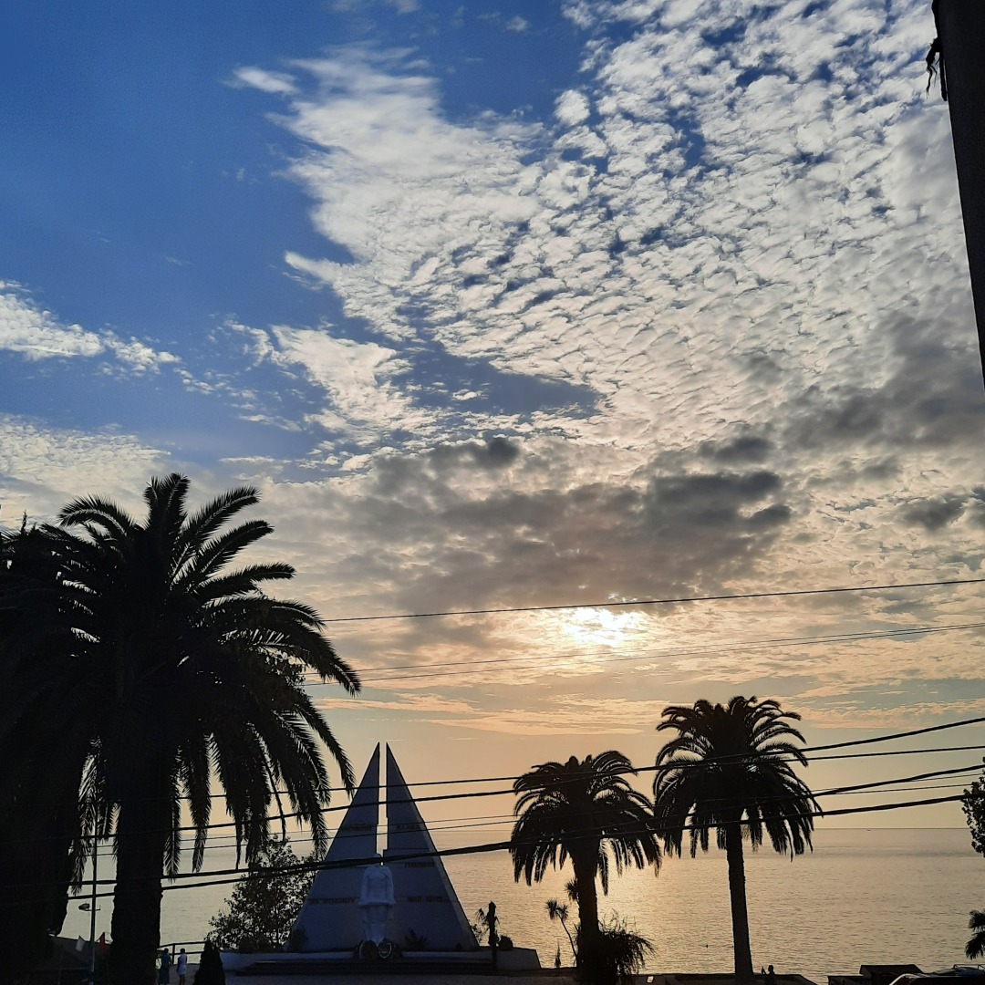 Эффект попутчика. Истории из поезда.