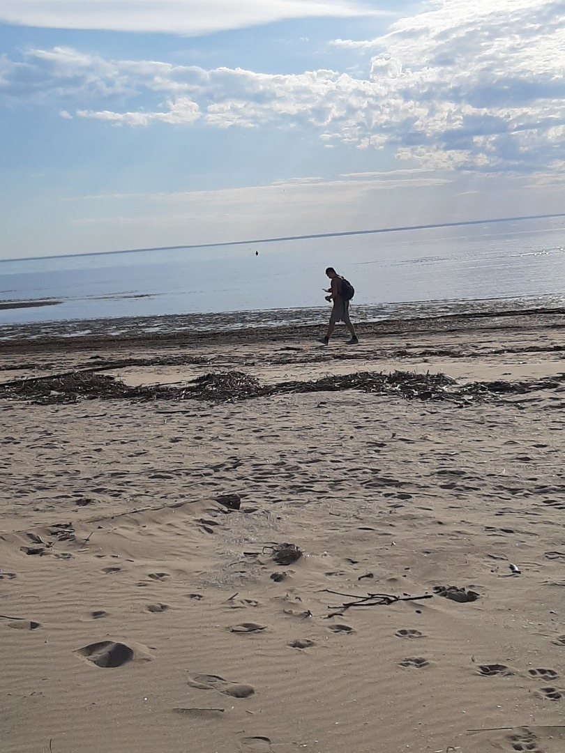 Вечерние прогулки вдоль Белого моря: что может быть прекрасней? Мои личные впечатления и выводы