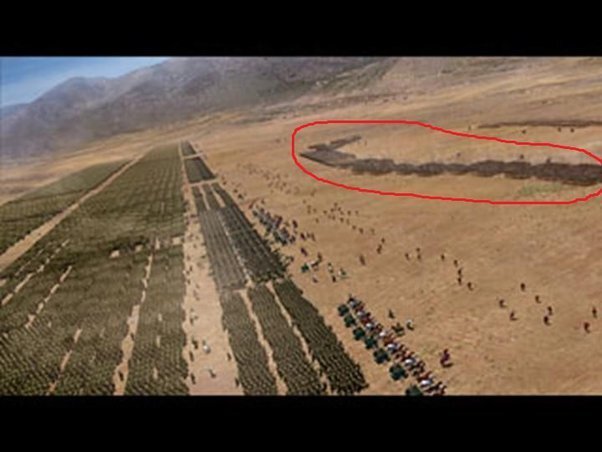 Какова самая необычная тактика психологической войны, когда-либо использовавшаяся на поле боя в истории?