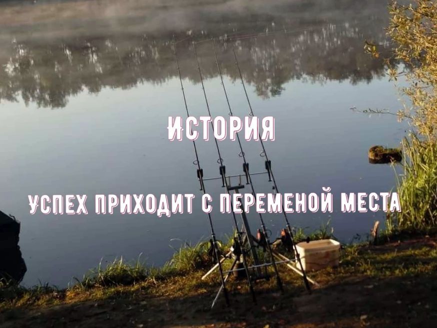 Название этой истории «Успех приходит с переменой места»