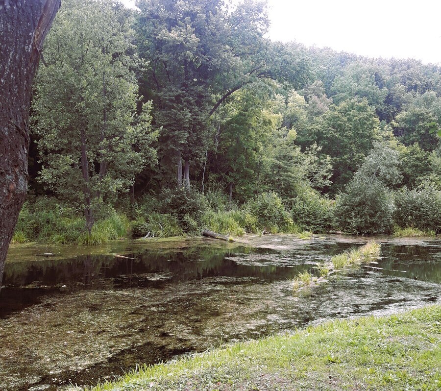 Восхождение к странному чёрному камню в Биляре (Татарстан). Здесь собираются православные, мусульмане и язычники