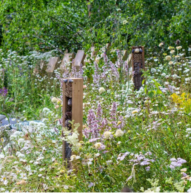 Идеи сада дикой природы – 13 способов превратить ваш задний двор в экологически чистый участок