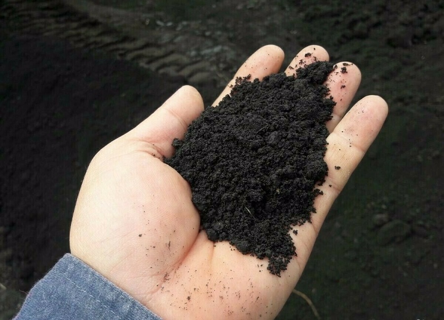 Огород на окне. Шаг 2.