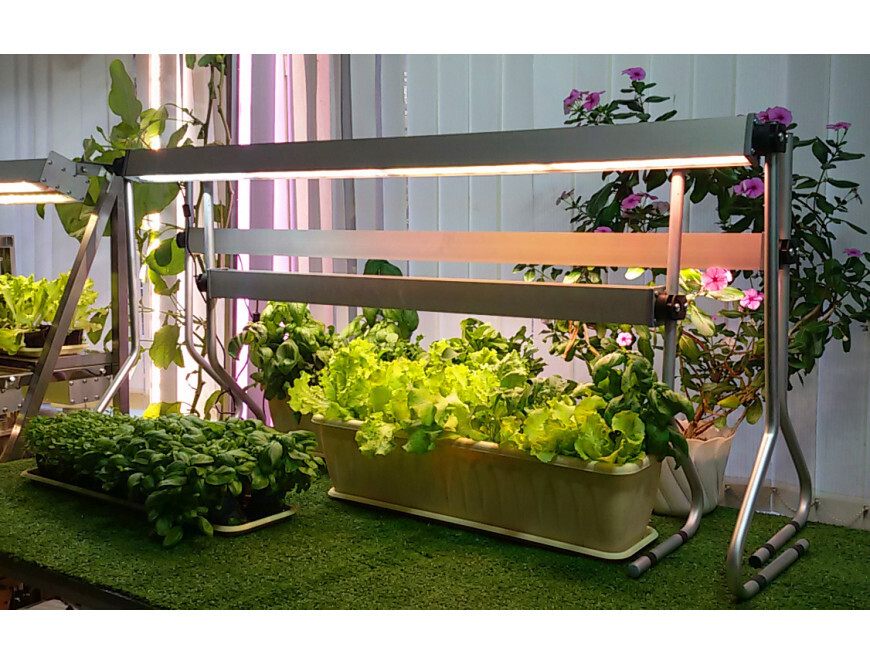 Освещение для огорода на подоконнике.