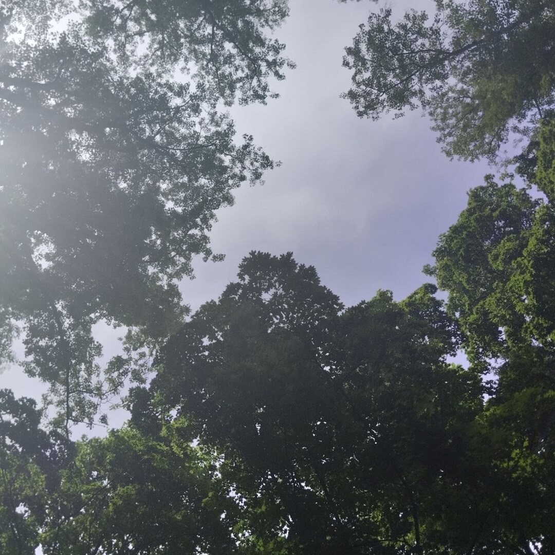 Как мы в Царицыно гуляли