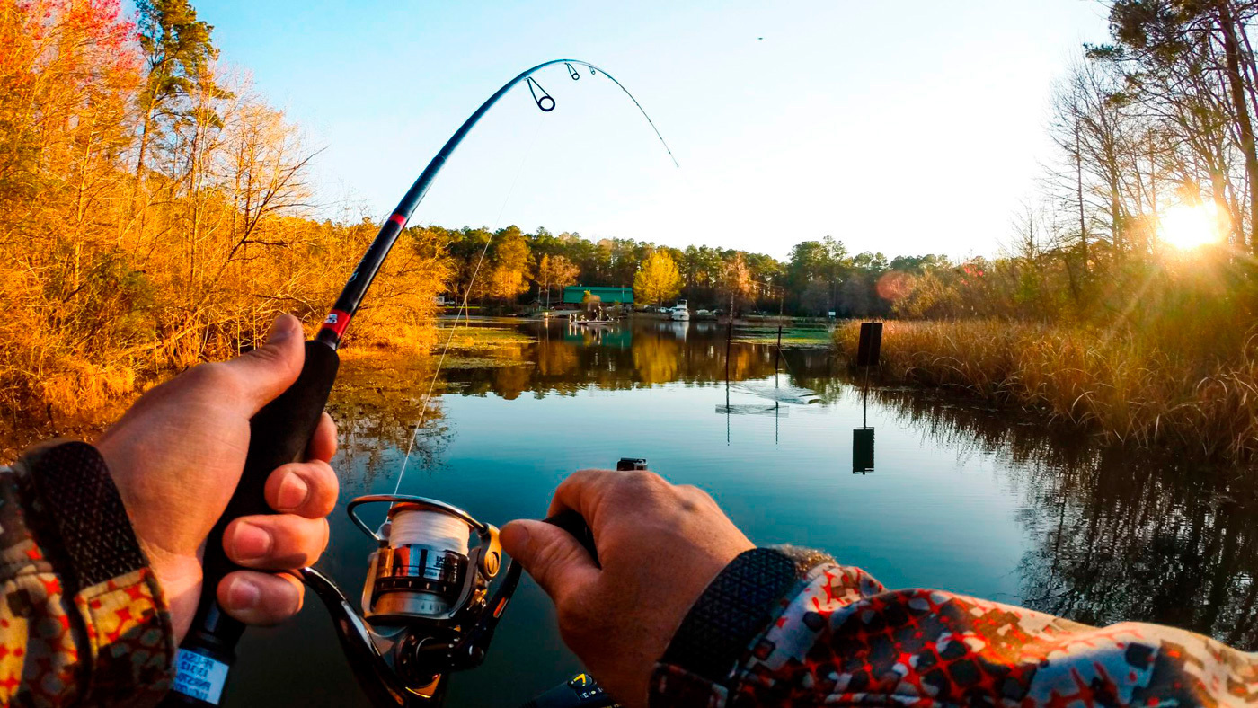Рыбалка - это один из самых популярных видов отдыха на природе, который любят многие люди по всему миру.
