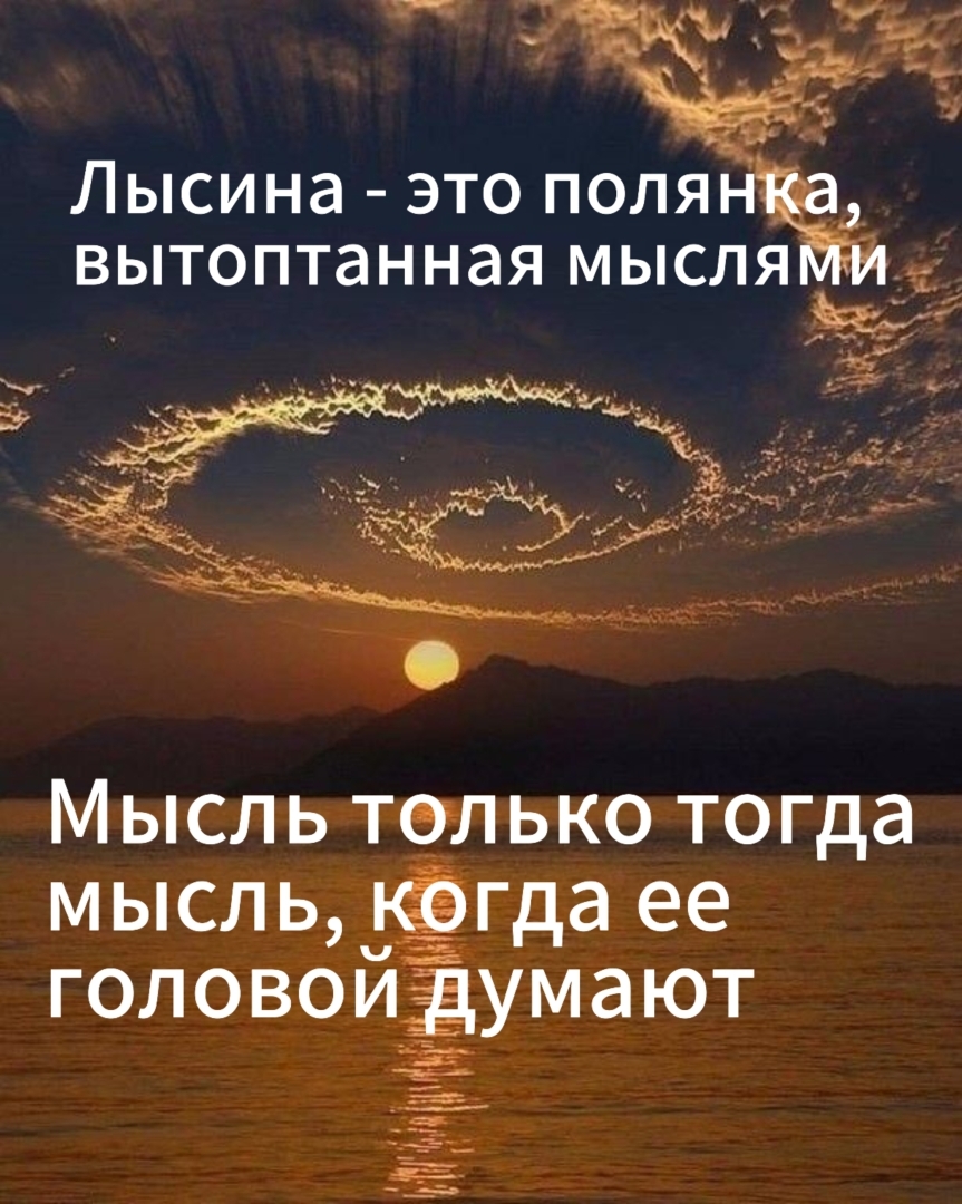 Цитаты с юмором или в каждой шутке есть доля правды.