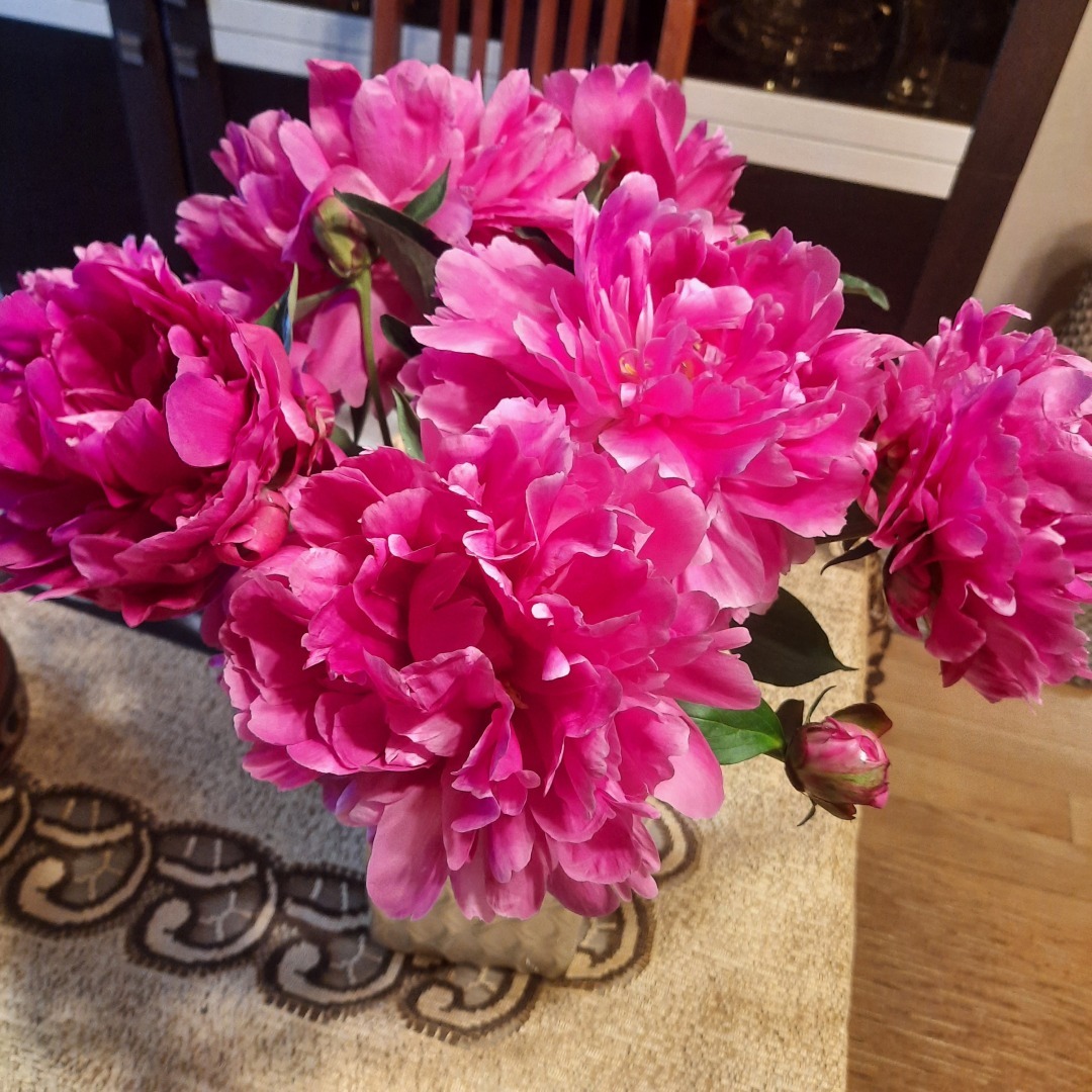 Как моя команда выиграла ящик мороженного. Пятничная игра Квиз Плиз.