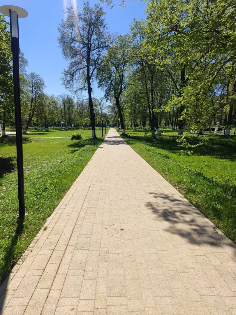 По местам малой родины моей мамы. Парк усадьбы Шеншиных, деревня Волково Мценского района Орловской области.