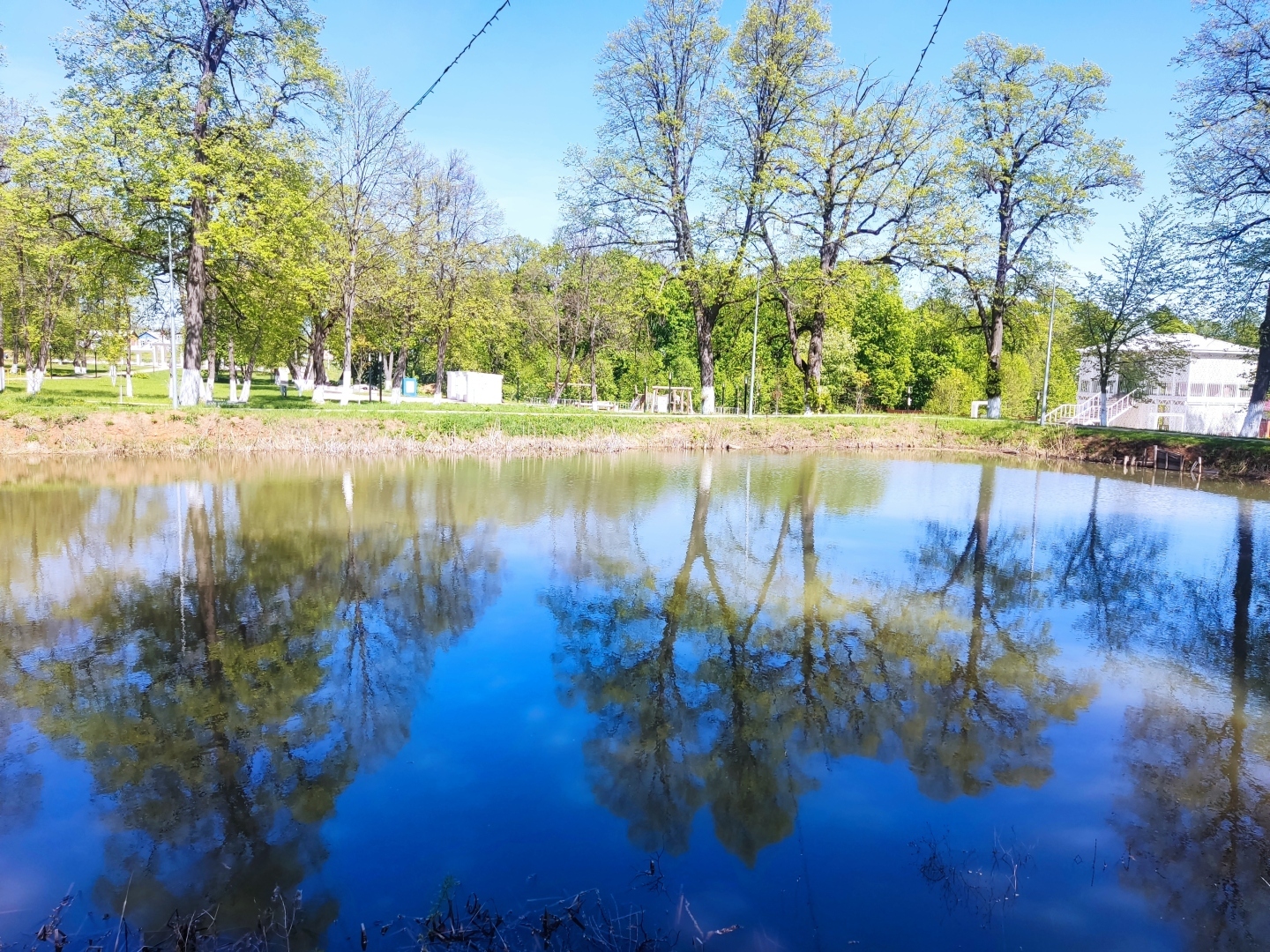 По местам малой родины моей мамы. Парк усадьбы Шеншиных, деревня Волково Мценского района Орловской области.