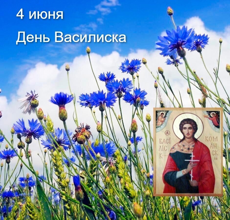 Василисков день. Запреты и предзнаменования: народные приметы на 4 июня  2024 года | Нина Сергеевна, 03 июня 2024