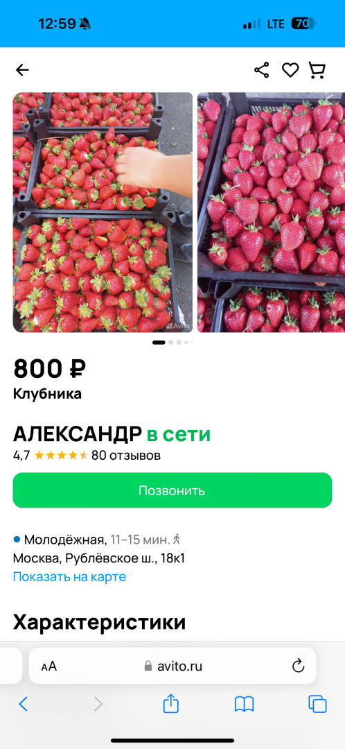 Клубника дороже мяса! Почему подорожала самая любимая ягода лета?