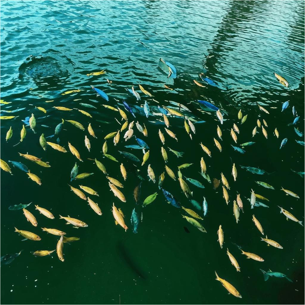 Немного юмора в тяжёлый день