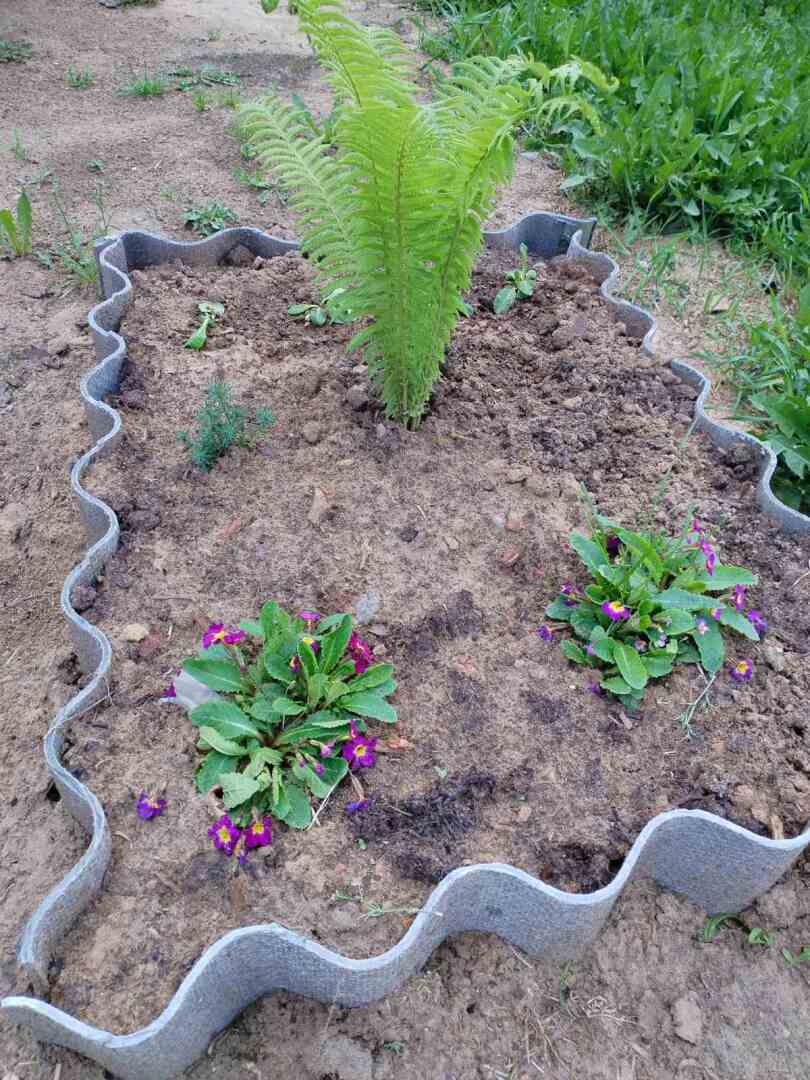 Деревенские красоты: первые цветы, зеленая травка и свежий воздух Личные впечатления, фото и мнение автора