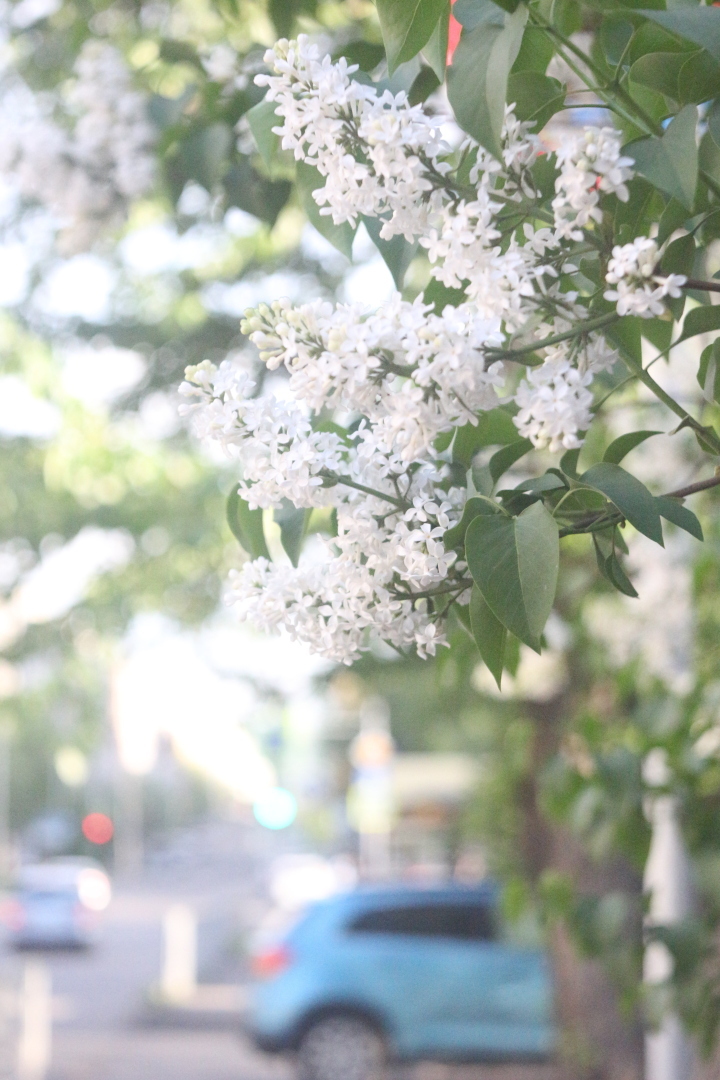 И снова про Яндекс такси, будьте внимательны те, кто пользуется "Детским тарифом", новый способ нагреть клиента