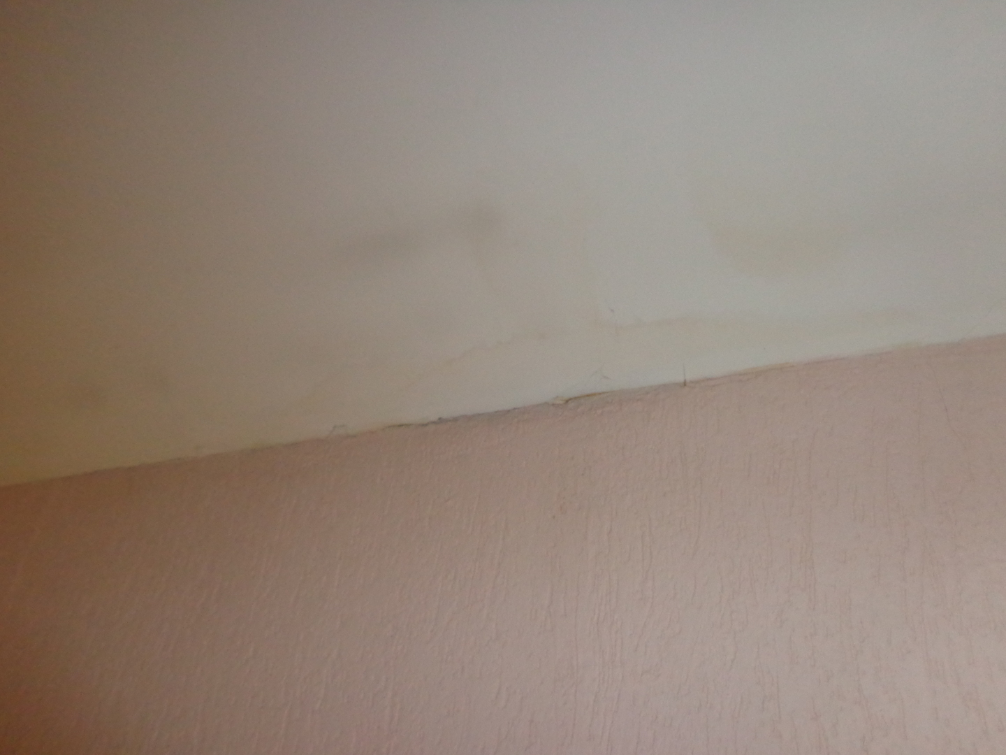 Откуда берутся трещины в кровле моего дома и как с этим бороться