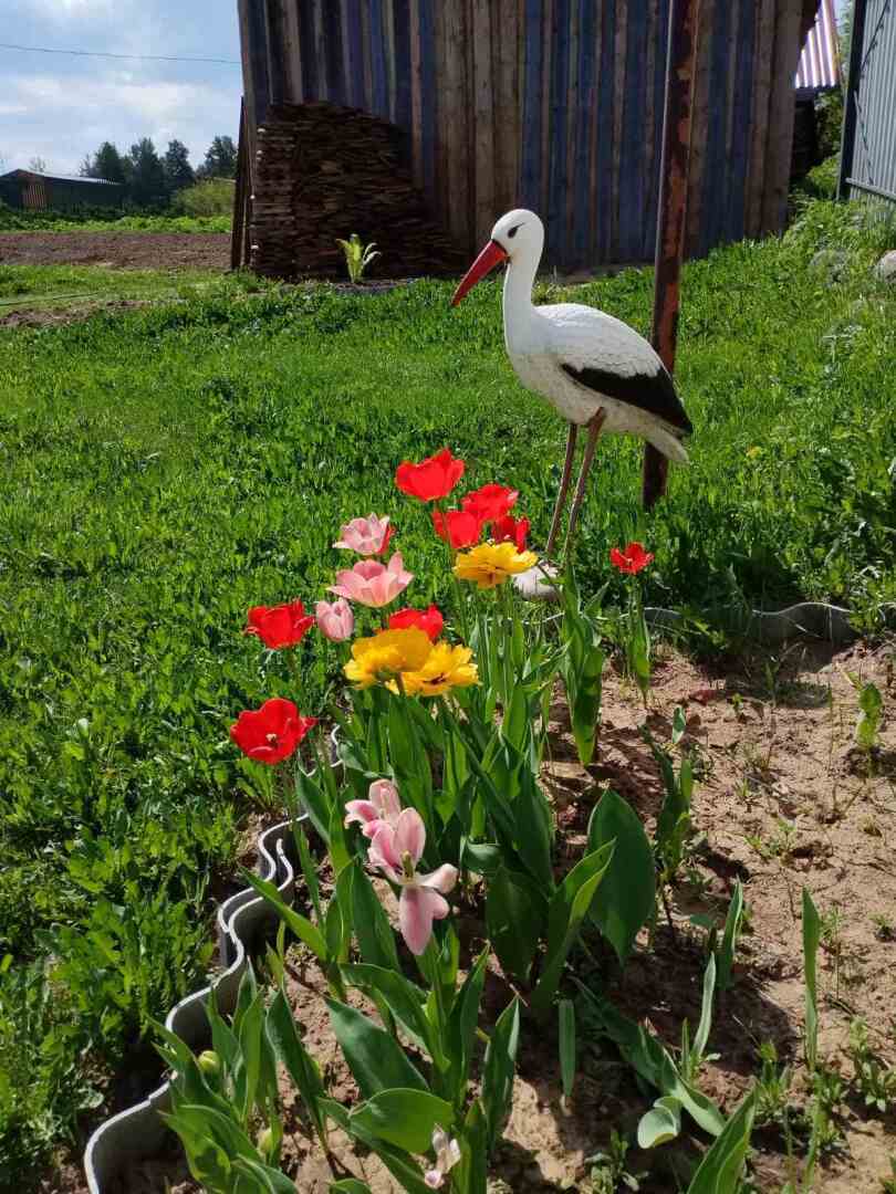 Деревенские красоты: первые цветы, зеленая травка и свежий воздух Личные впечатления, фото и мнение автора