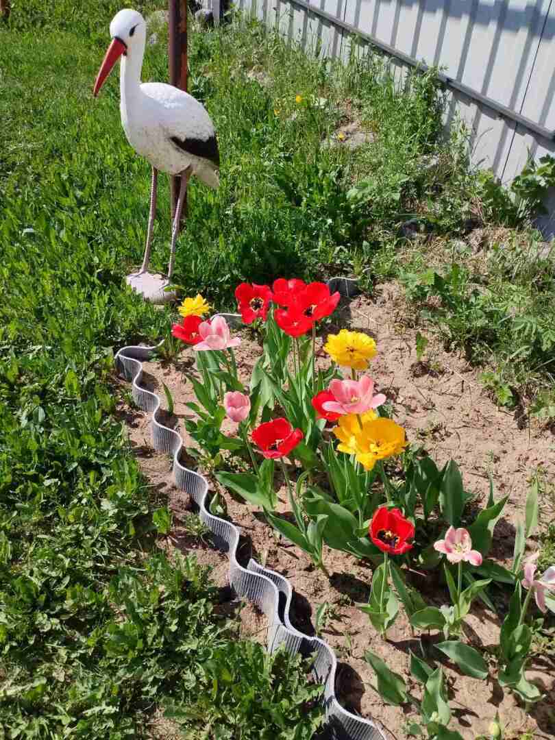 Деревенские красоты: первые цветы, зеленая травка и свежий воздух Личные впечатления, фото и мнение автора