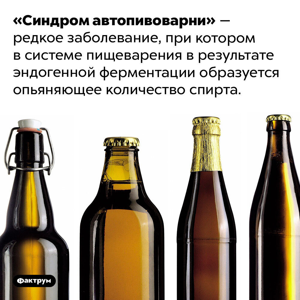 🍺 Пиво на халяву? У женщины из Канады обнаружен редчайший 